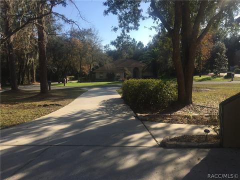 4393 N Indianhead Rd, Hernando, FL 34442 photo 46
