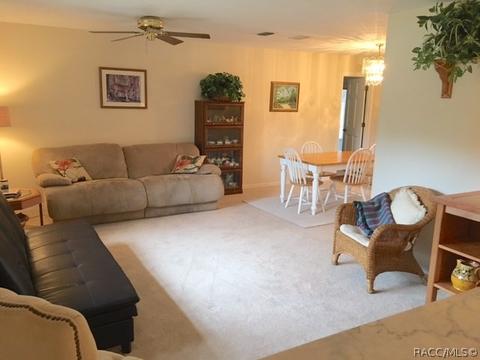 4393 N Indianhead Rd, Hernando, FL 34442 photo 10