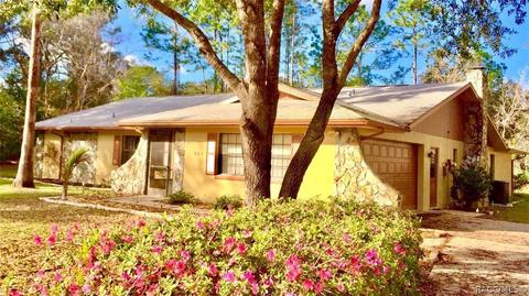 4393 N Indianhead Rd, Hernando, FL 34442 photo 1