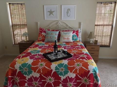 4393 N Indianhead Rd, Hernando, FL 34442 photo 21