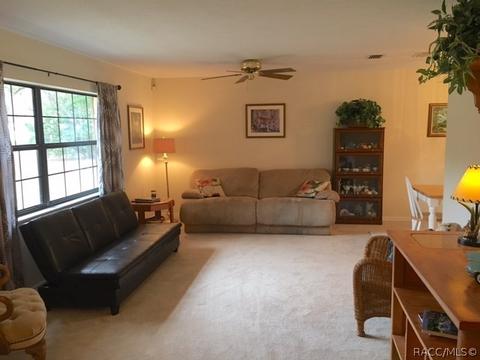 4393 N Indianhead Rd, Hernando, FL 34442 photo 8