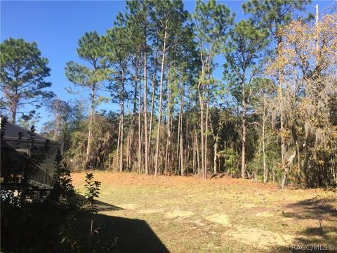 4393 N Indianhead Rd, Hernando, FL 34442 photo 44