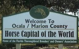 4245 SE 2nd Ln, Ocala, FL 34471 photo 2