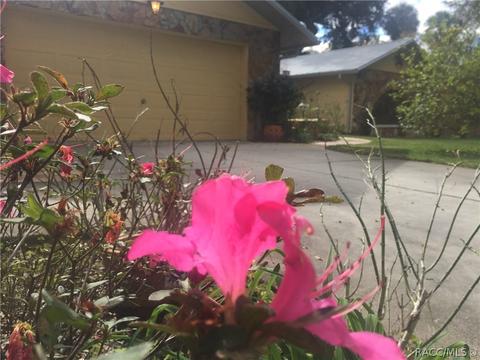 362 Hudson St, Inglis, FL 34449 photo 48
