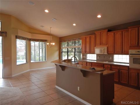 1022 W Sun Valley Ct, Hernando, FL 34442 photo 27