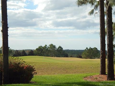1022 W Sun Valley Ct, Hernando, FL 34442 photo 39