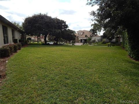 1022 W Sun Valley Ct, Hernando, FL 34442 photo 33