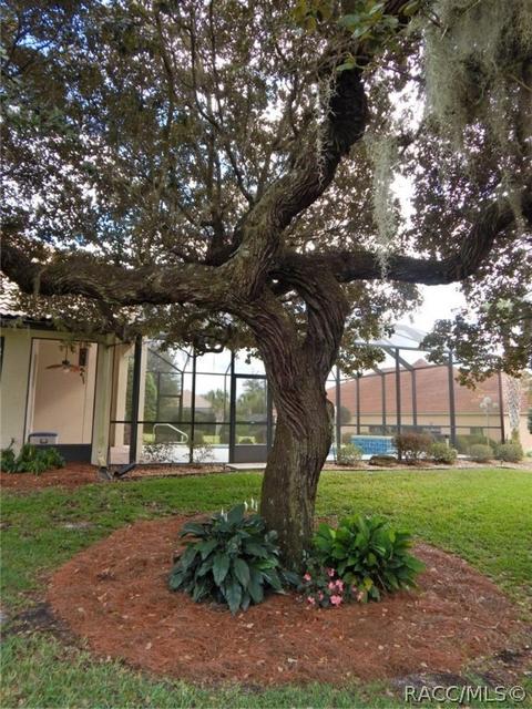 1022 W Sun Valley Ct, Hernando, FL 34442 photo 37