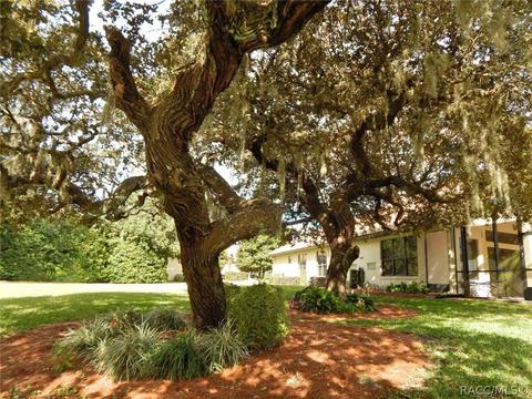 1022 W Sun Valley Ct, Hernando, FL 34442 photo 36