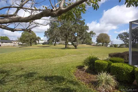 511 E Ireland Ct, Hernando, FL 34442 photo 21