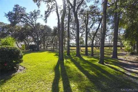 1600 N Bowman Ter, Hernando, FL 34442 photo 33