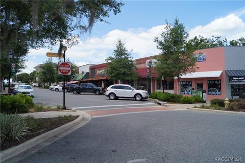 8281 E Fairway Loop, Inverness, FL 34450 photo 6