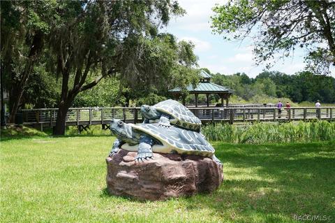 8281 E Fairway Loop, Inverness, FL 34450 photo 36