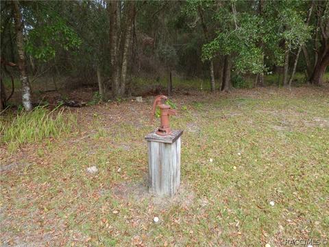 8281 E Fairway Loop, Inverness, FL 34450 photo 2