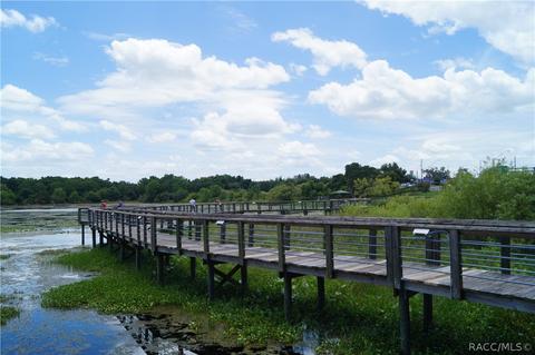 8281 E Fairway Loop, Inverness, FL 34450 photo 15
