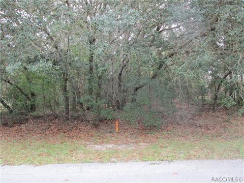 1506 E St James Loop, Inverness, FL 34453 photo 1