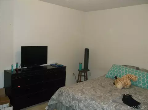 1239 E Mckinley St, Hernando, FL 34442 photo 5