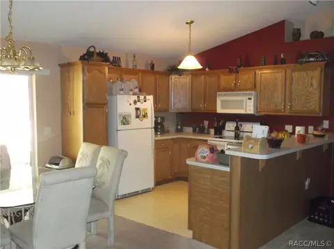 1239 E Mckinley St, Hernando, FL 34442 photo 4