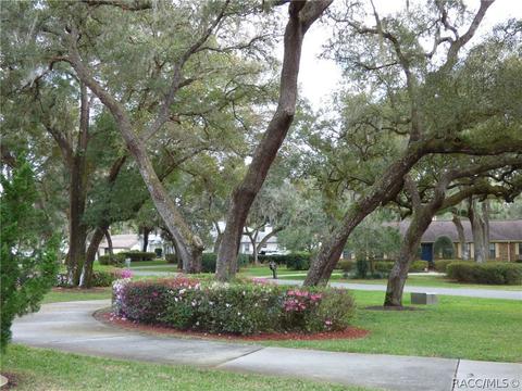 8295 E Fairway Loop, Inverness, FL 34450 photo 34