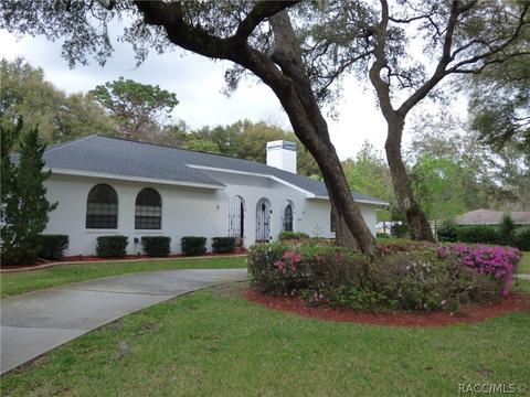 8295 E Fairway Loop, Inverness, FL 34450 photo 39