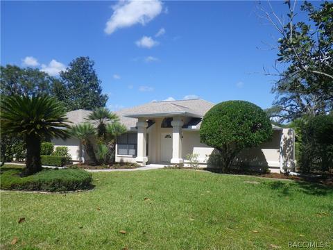471 E Keller Ct, Hernando, FL 34442 photo 1