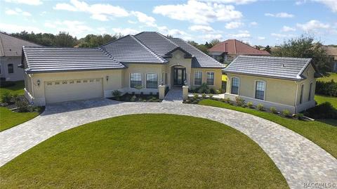 1436 N Eagle Ridge Path, Hernando, FL 34442 photo 1