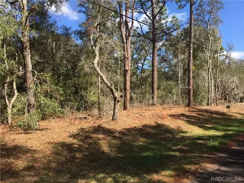 3077 E Oakton St, Hernando, FL 34442 photo 1