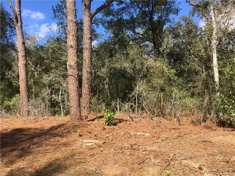 3077 E Oakton St, Hernando, FL 34442 photo 3