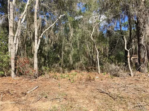3077 E Oakton St, Hernando, FL 34442 photo 2