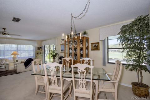 505 E Keller Ct, Hernando, FL 34442 photo 8