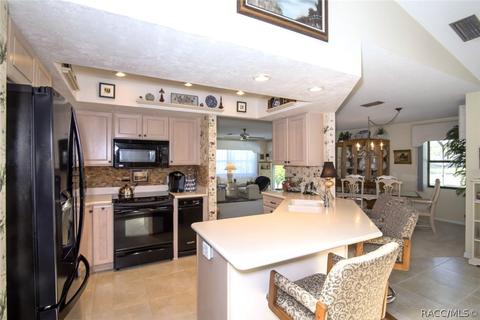 505 E Keller Ct, Hernando, FL 34442 photo 4