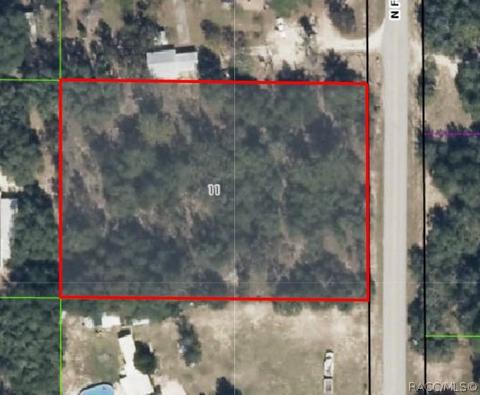 4638 N Forest Lake Dr, Hernando, FL 34442 photo 1