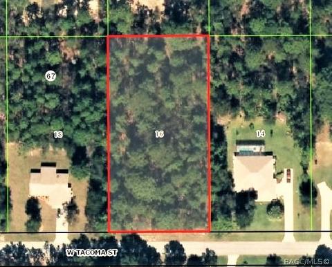 1711 W Tacoma St, Hernando, FL 34442 photo 13