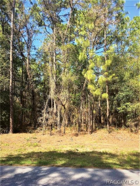 1711 W Tacoma St, Hernando, FL 34442 photo 6