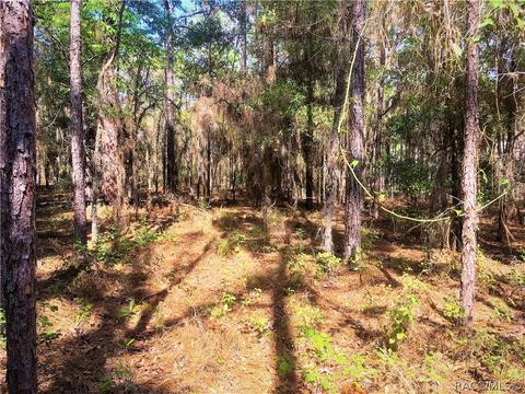 1711 W Tacoma St, Hernando, FL 34442 photo 12