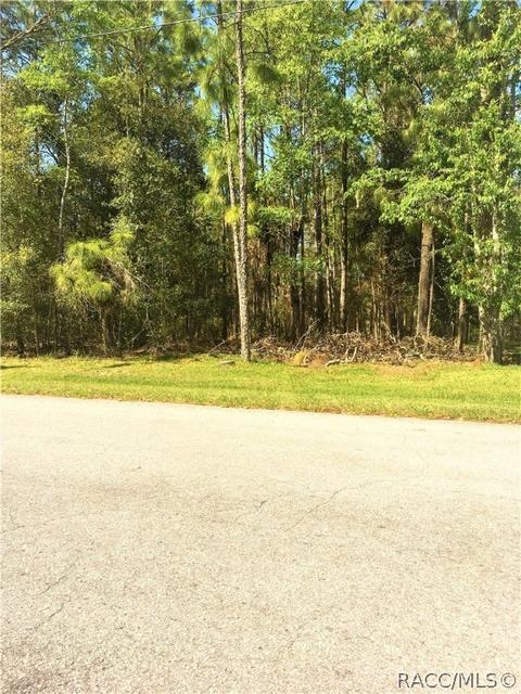 1711 W Tacoma St, Hernando, FL 34442 photo 8