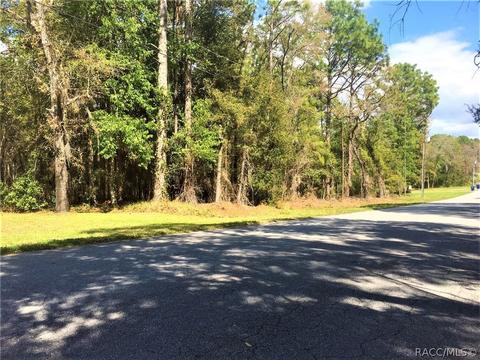 1711 W Tacoma St, Hernando, FL 34442 photo 1