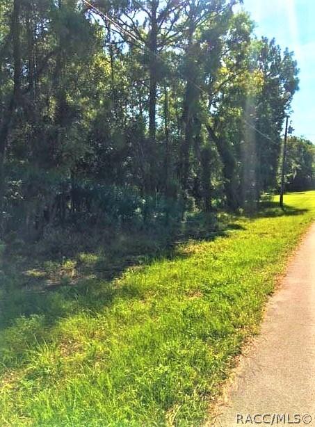 1711 W Tacoma St, Hernando, FL 34442 photo 2