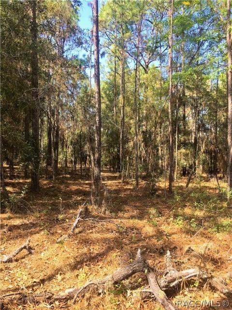 1711 W Tacoma St, Hernando, FL 34442 photo 9