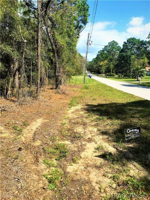 1711 W Tacoma St, Hernando, FL 34442 photo 5
