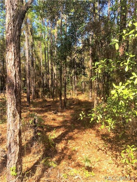 1711 W Tacoma St, Hernando, FL 34442 photo 10