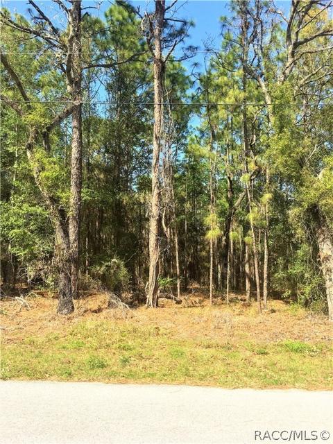 1711 W Tacoma St, Hernando, FL 34442 photo 7