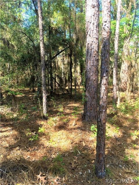 1711 W Tacoma St, Hernando, FL 34442 photo 11