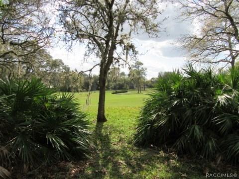 814 Keller Ct E, Hernando, FL 34442 photo 3