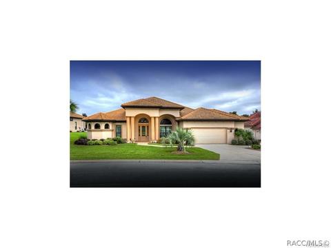 1436 W Double Eagle Ct, Hernando, FL 34442 photo 1