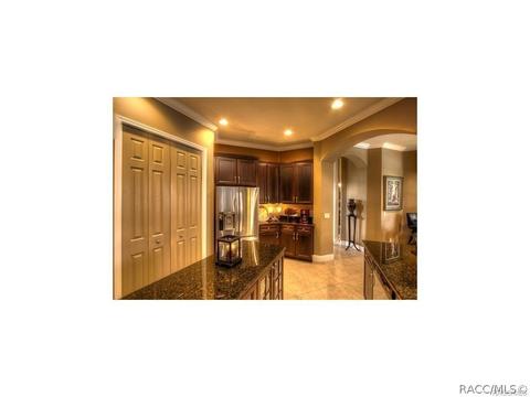 1436 W Double Eagle Ct, Hernando, FL 34442 photo 6