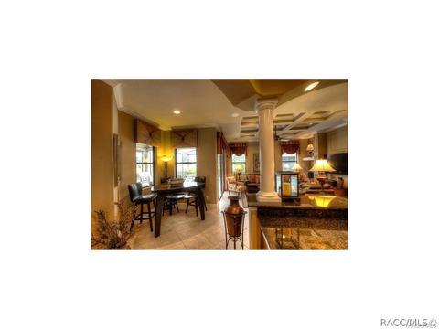 1436 W Double Eagle Ct, Hernando, FL 34442 photo 22