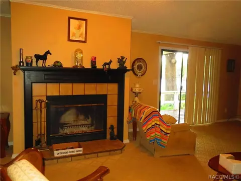 4056 N Roscoe Rd, Hernando, FL 34442 photo 4