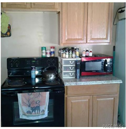 3512 E Brave Ln, Hernando, FL 34442 photo 4