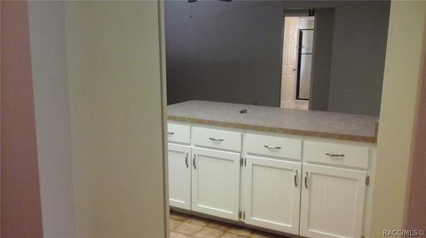 2449 W Spring Leaf Ln, Lecanto, FL 34461 photo 11